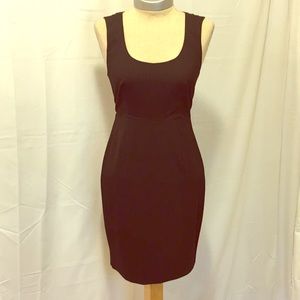 Express BW Pinstripe Work Dress W/ Gold Zipper